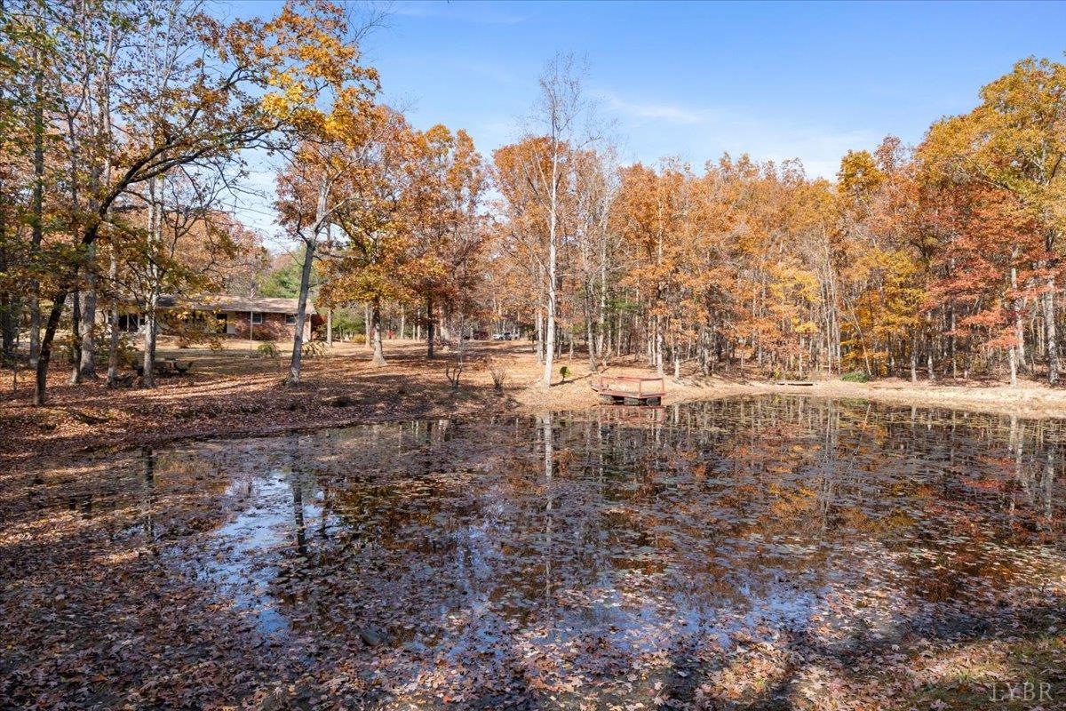 391 Pond Road Buckingham, VA 23921 - Photo 60 of 75 a view of a large yard with lots of green space