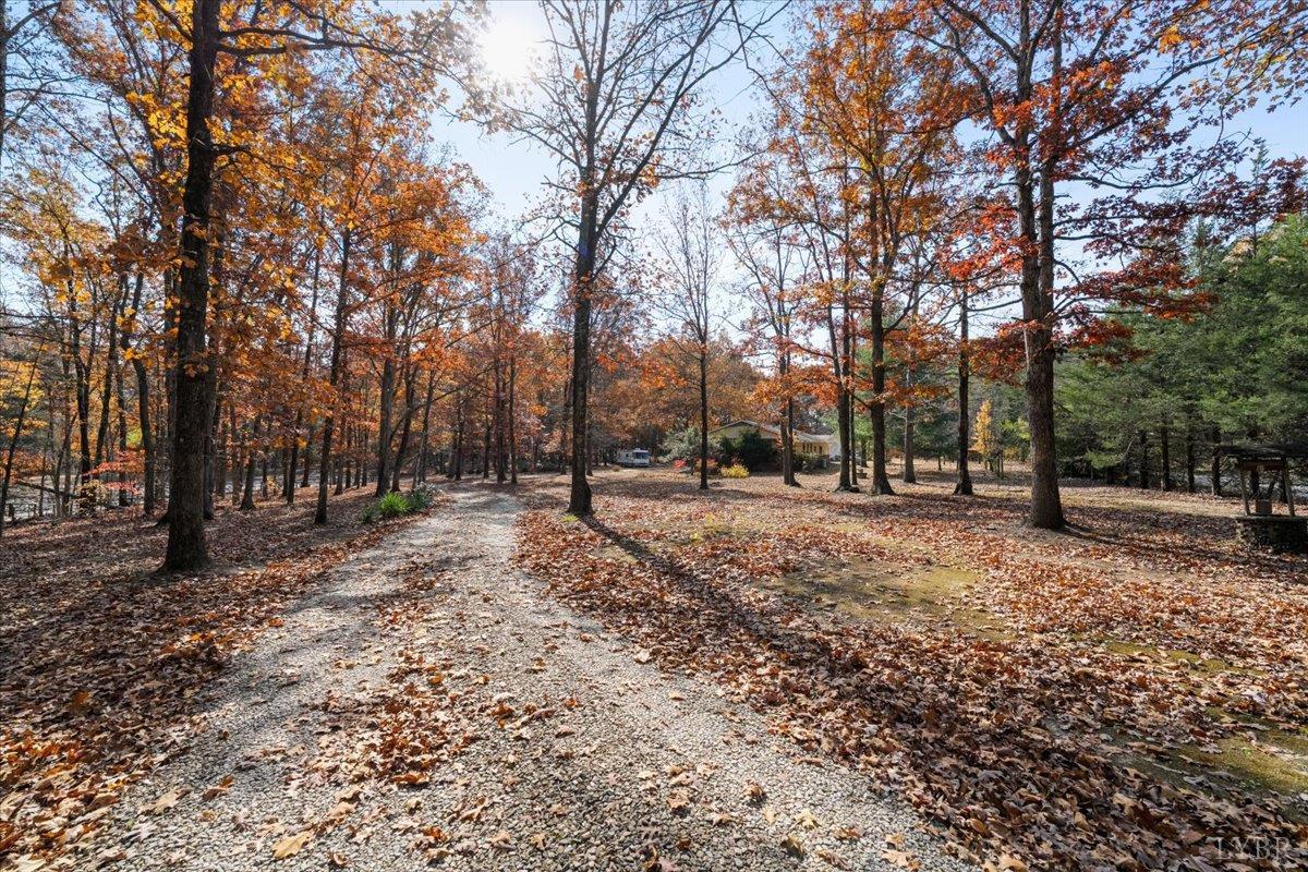 391 Pond Road Buckingham, VA 23921 - Photo 62 of 75 a view of outdoor space with trees