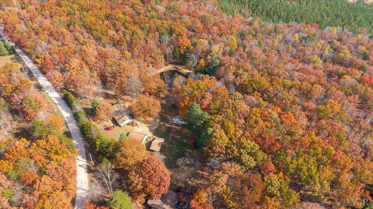 391 Pond Road Buckingham, VA 23921 - Photo 63 of 75 a view of a tree with a yard
