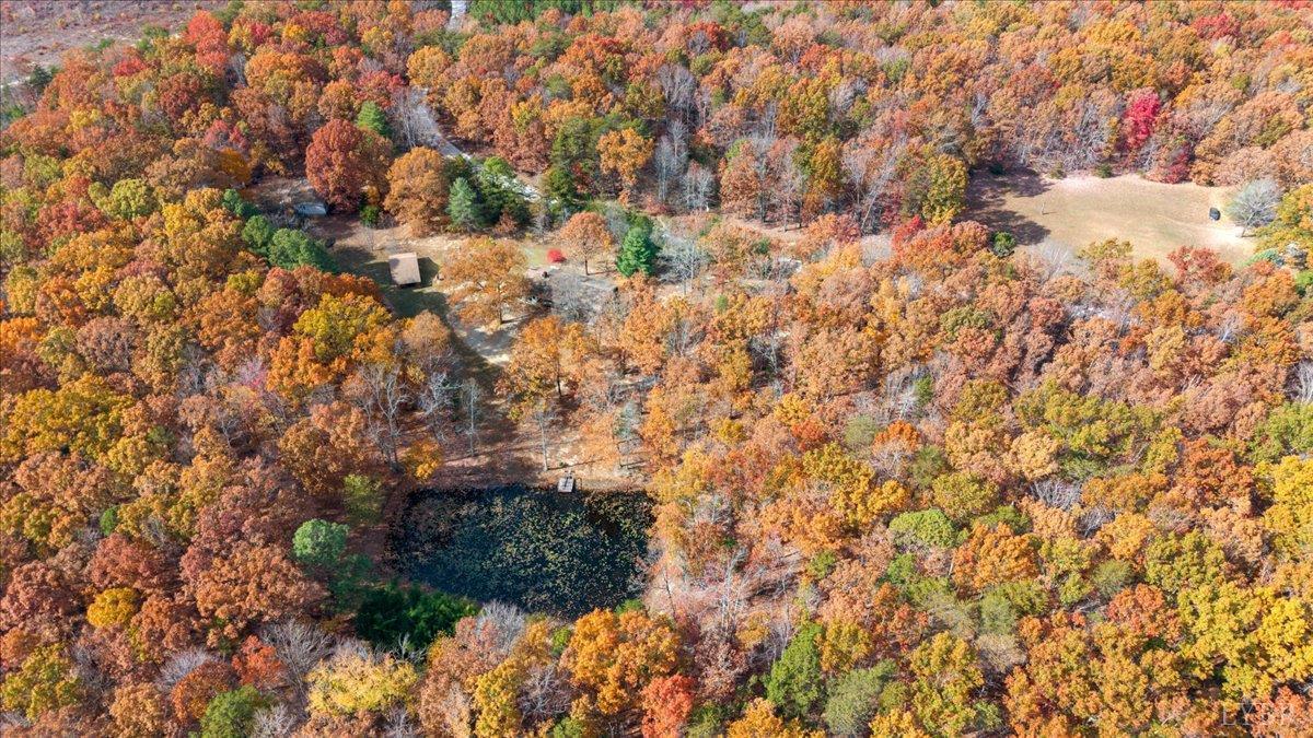 391 Pond Road Buckingham, VA 23921 - Photo 64 of 75