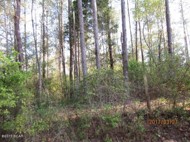 4028 Shell Landing Road Vernon, FL 32462 - Photo 15 of 15