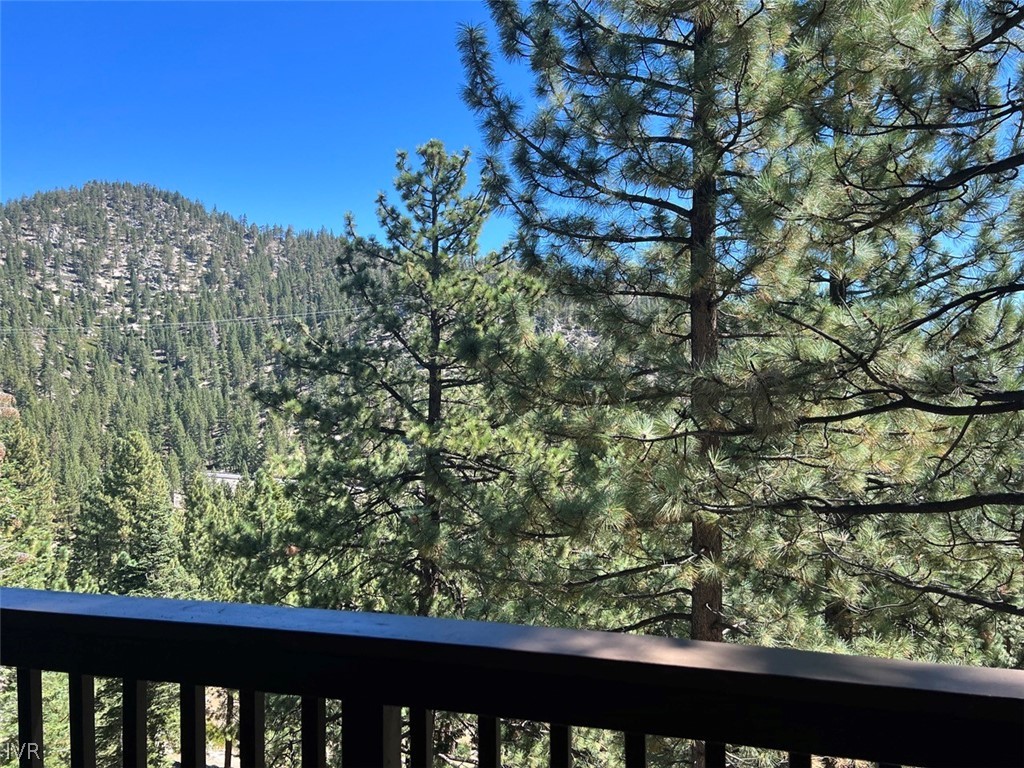 115 Tramway Drive, Unit 2 Stateline, NV 89449 - Photo 12 of 18 a view of a tree