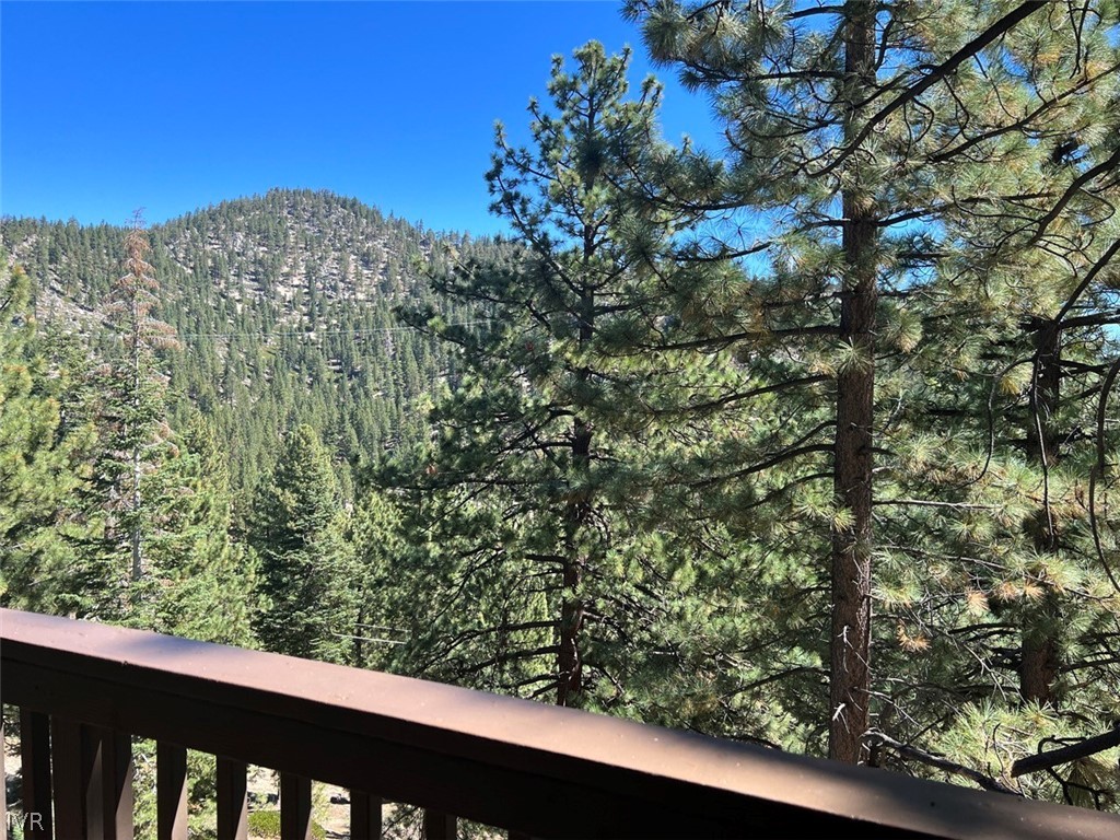 115 Tramway Drive, Unit 2 Stateline, NV 89449 - Photo 8 of 18 a view of a forest from a window