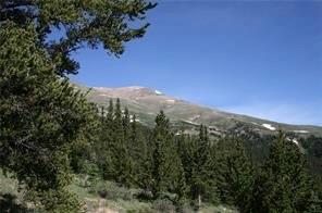 0 County Road 787 Alma, CO 80420 - Photo 1 of 30 Gallery Image 1