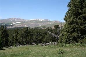0 County Road 787 Alma, CO 80420 - Photo 2 of 30 Gallery Image 2