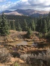 0 County Road 787 Alma, CO 80420 - Photo 12 of 30 Gallery Image 12