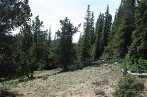 0 County Road 787 Alma, CO 80420 - Photo 13 of 30 Gallery Image 13