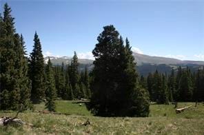 0 County Road 787 Alma, CO 80420 - Photo 14 of 30 Gallery Image 14
