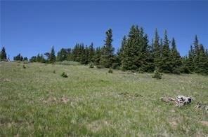0 County Road 787 Alma, CO 80420 - Photo 15 of 30 Gallery Image 15