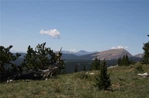 0 County Road 787 Alma, CO 80420 - Photo 20 of 30 Gallery Image 20