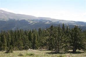 0 County Road 787 Alma, CO 80420 - Photo 22 of 30 Gallery Image 22