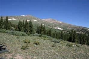 0 County Road 787 Alma, CO 80420 - Photo 24 of 30 Gallery Image 24