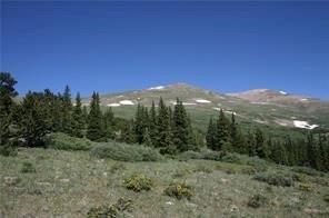 0 County Road 787 Alma, CO 80420 - Photo 25 of 30 Gallery Image 25
