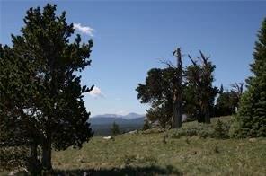 0 County Road 787 Alma, CO 80420 - Photo 26 of 30 Gallery Image 26