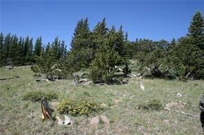 0 County Road 787 Alma, CO 80420 - Photo 27 of 30 Gallery Image 27