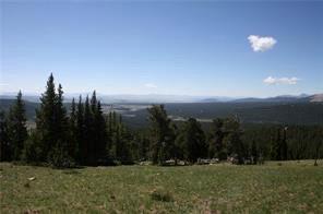 0 County Road 787 Alma, CO 80420 - Photo 30 of 30 Gallery Image 30