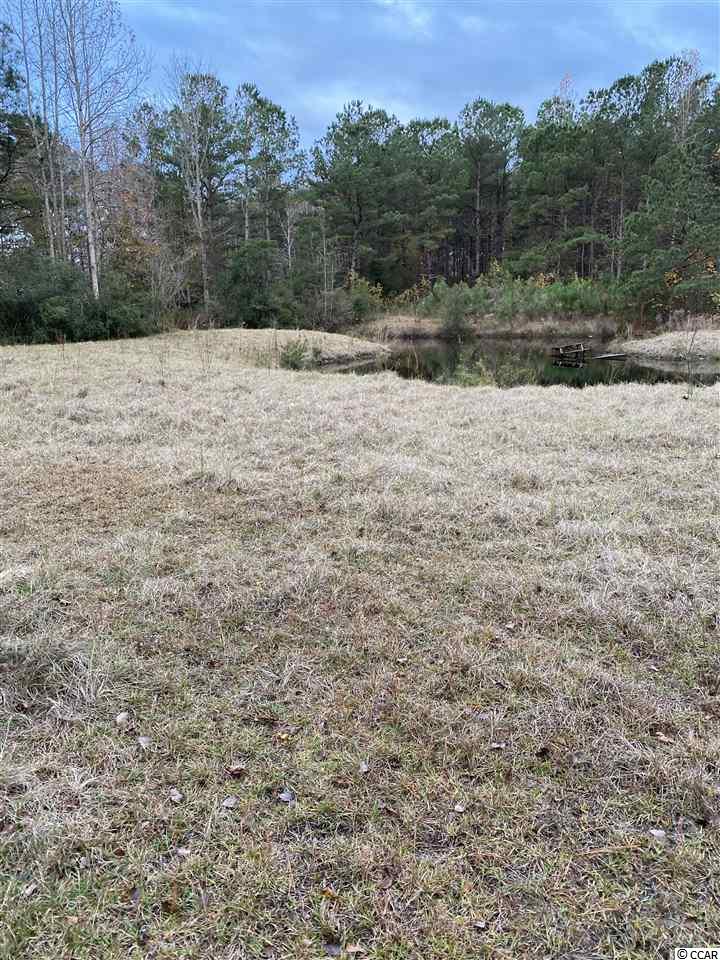 446 Bear Grass Road East Longs, SC 29568 - Photo 2 of 5 Gallery Image 2