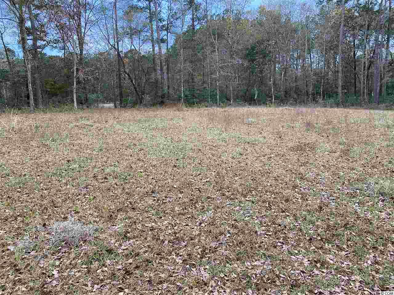 446 Bear Grass Road East Longs, SC 29568 - Photo 3 of 5 Gallery Image 3