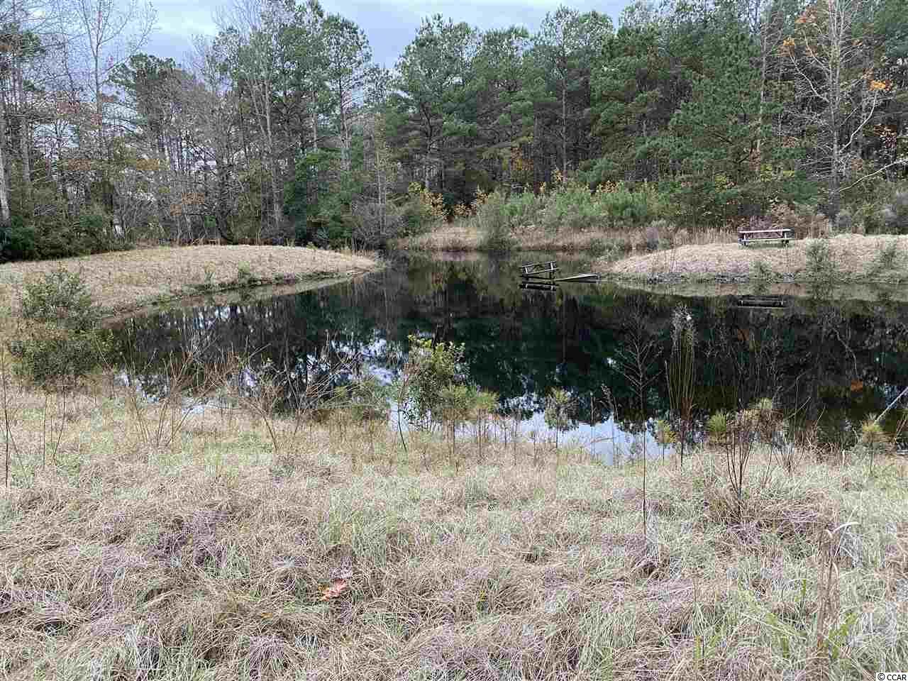 446 Bear Grass Road East Longs, SC 29568 - Photo 5 of 5 Gallery Image 5