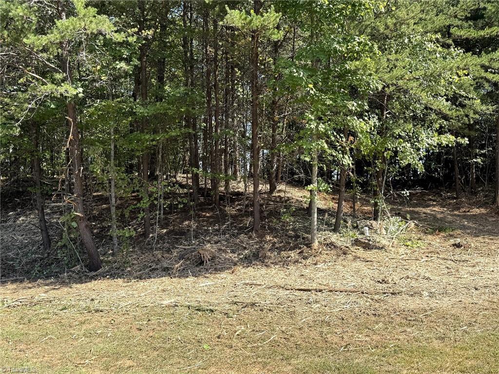 Tbd Ridge Run Road Boomer, NC 28606 - Photo 11 of 15 Gallery Image 11