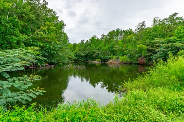 $559,900 | 810 Younger Circle, Chattanooga, TN 37415