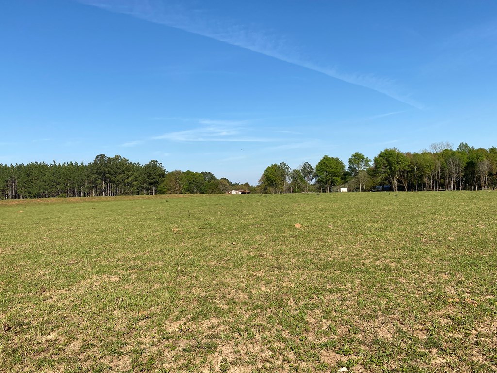 0 Co Road Abbeville, AL 36310 - Photo 20 of 53
