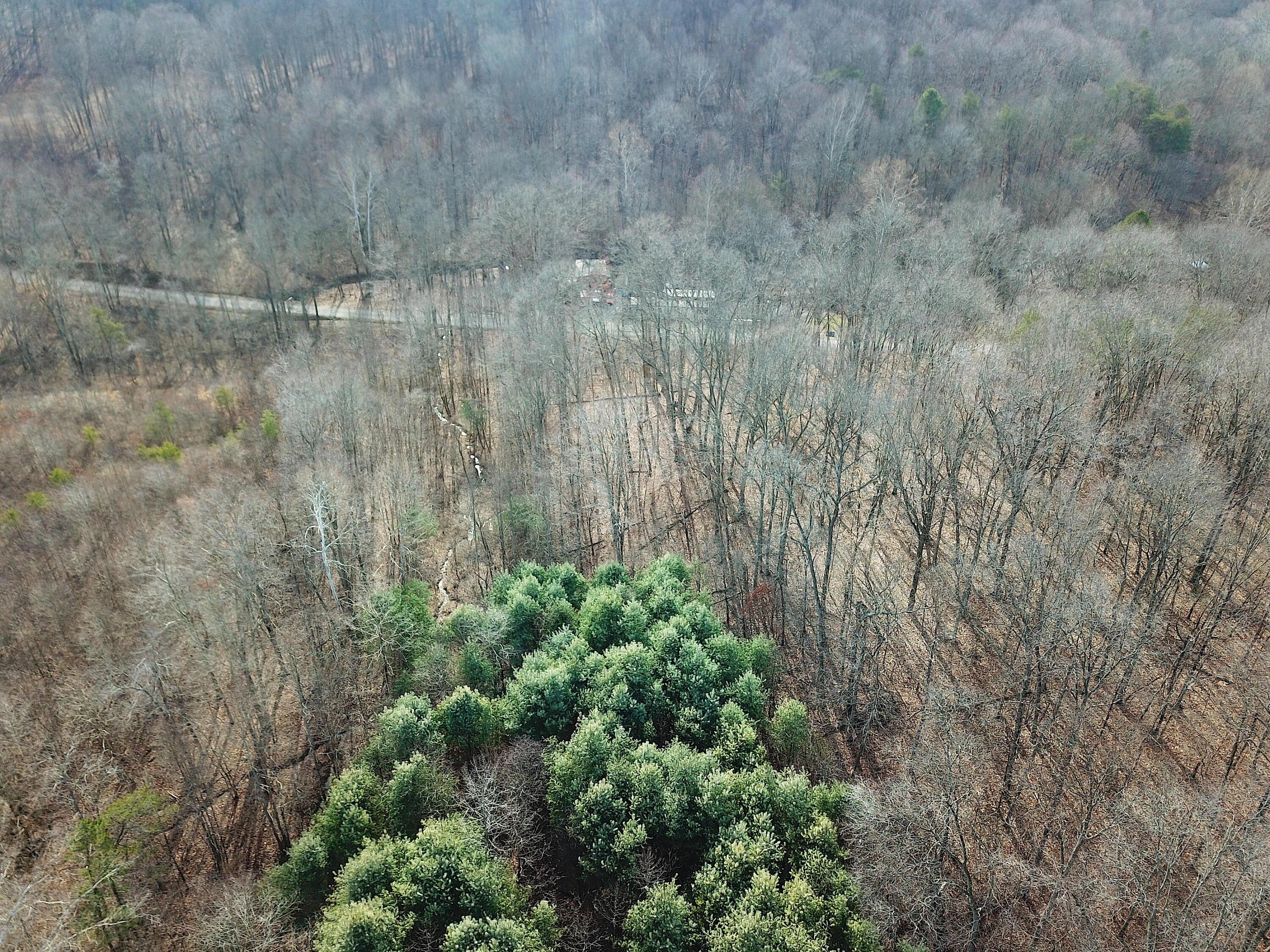 0 Minerton Chapel Road Vinton, OH 45686 - Photo 22 of 25 DJI_0248