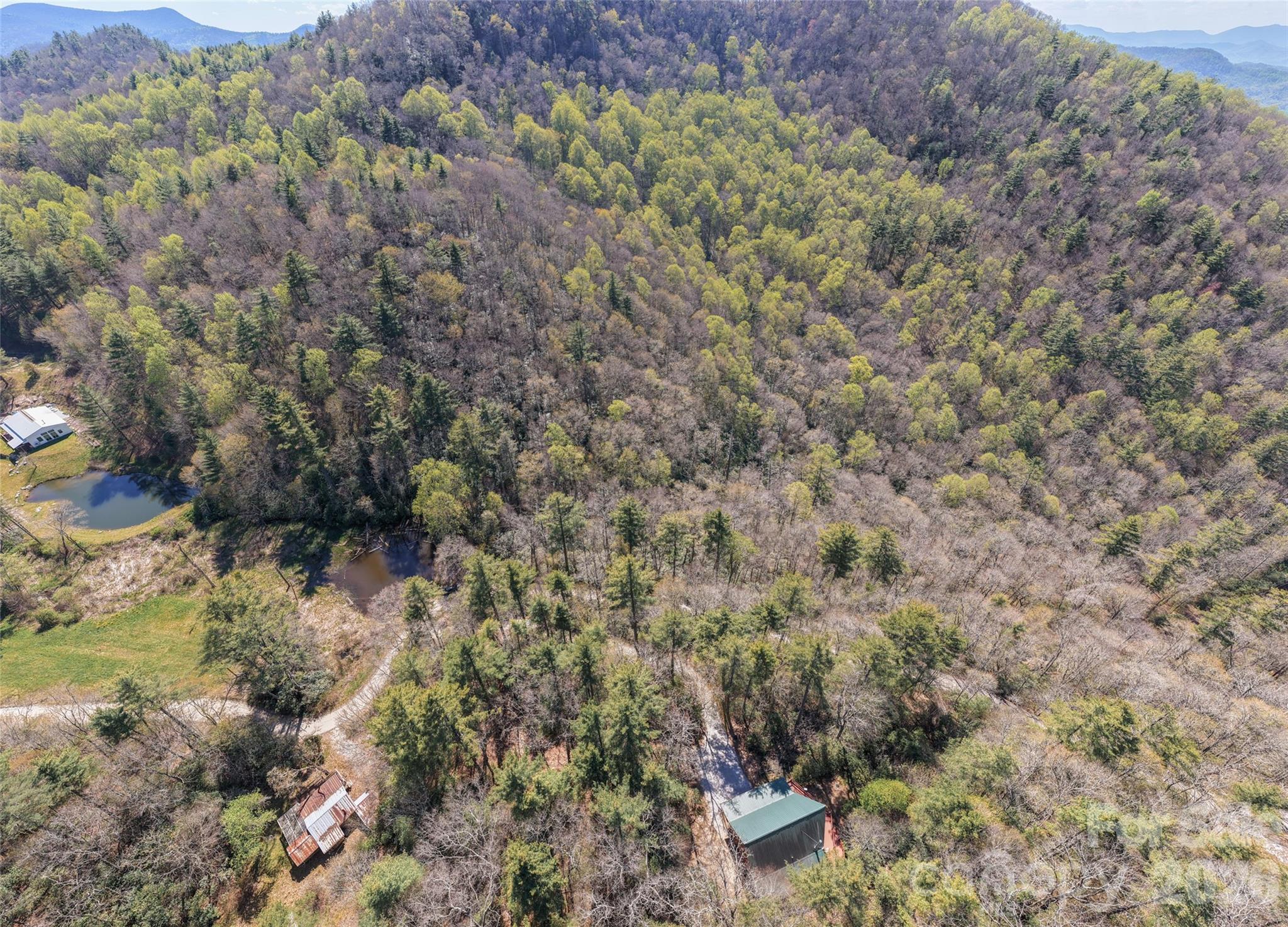 4419 Flat Mountain Road Highlands, NC 28741 - Photo 10 of 17