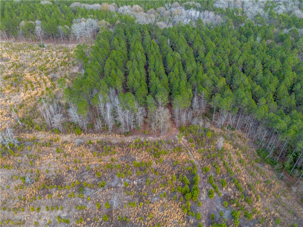 5 Bell Line Road Eastman, GA 31023 - Photo 2 of 8