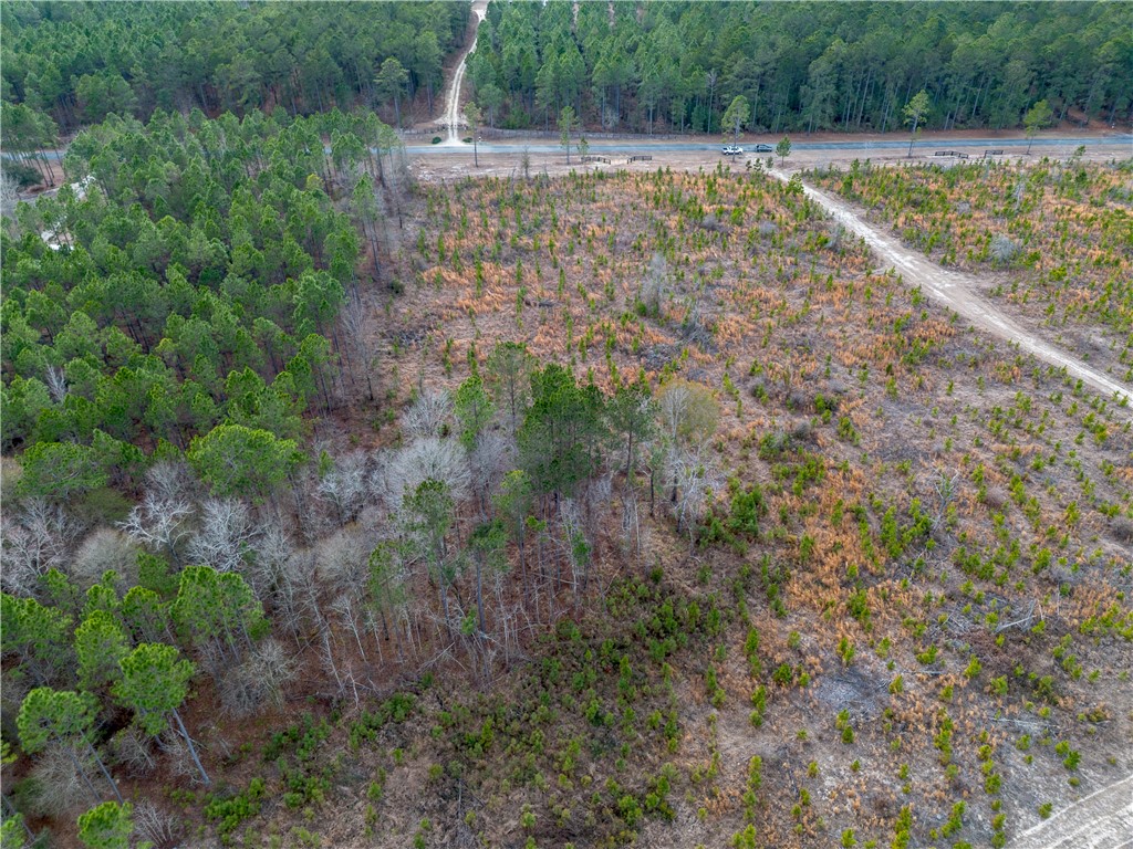 5 Bell Line Road Eastman, GA 31023 - Photo 3 of 8