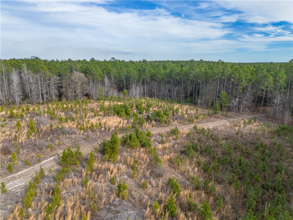 5 Bell Line Road Eastman, GA 31023 - Photo 4 of 8