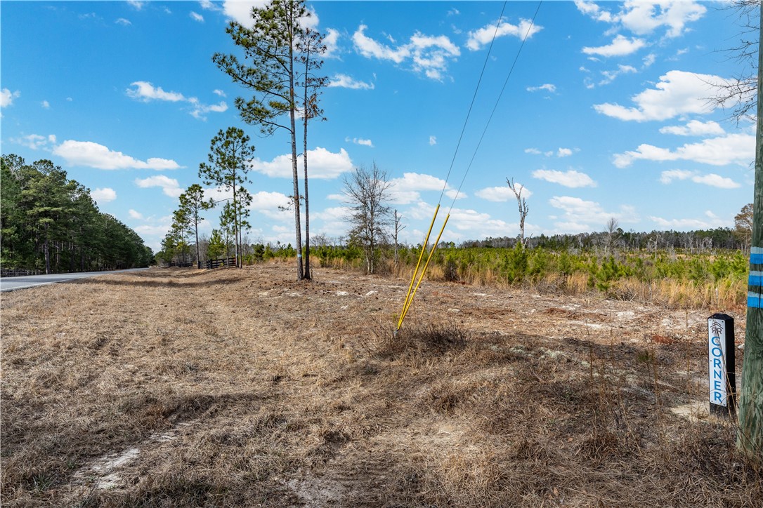 5 Bell Line Road Eastman, GA 31023 - Photo 5 of 8