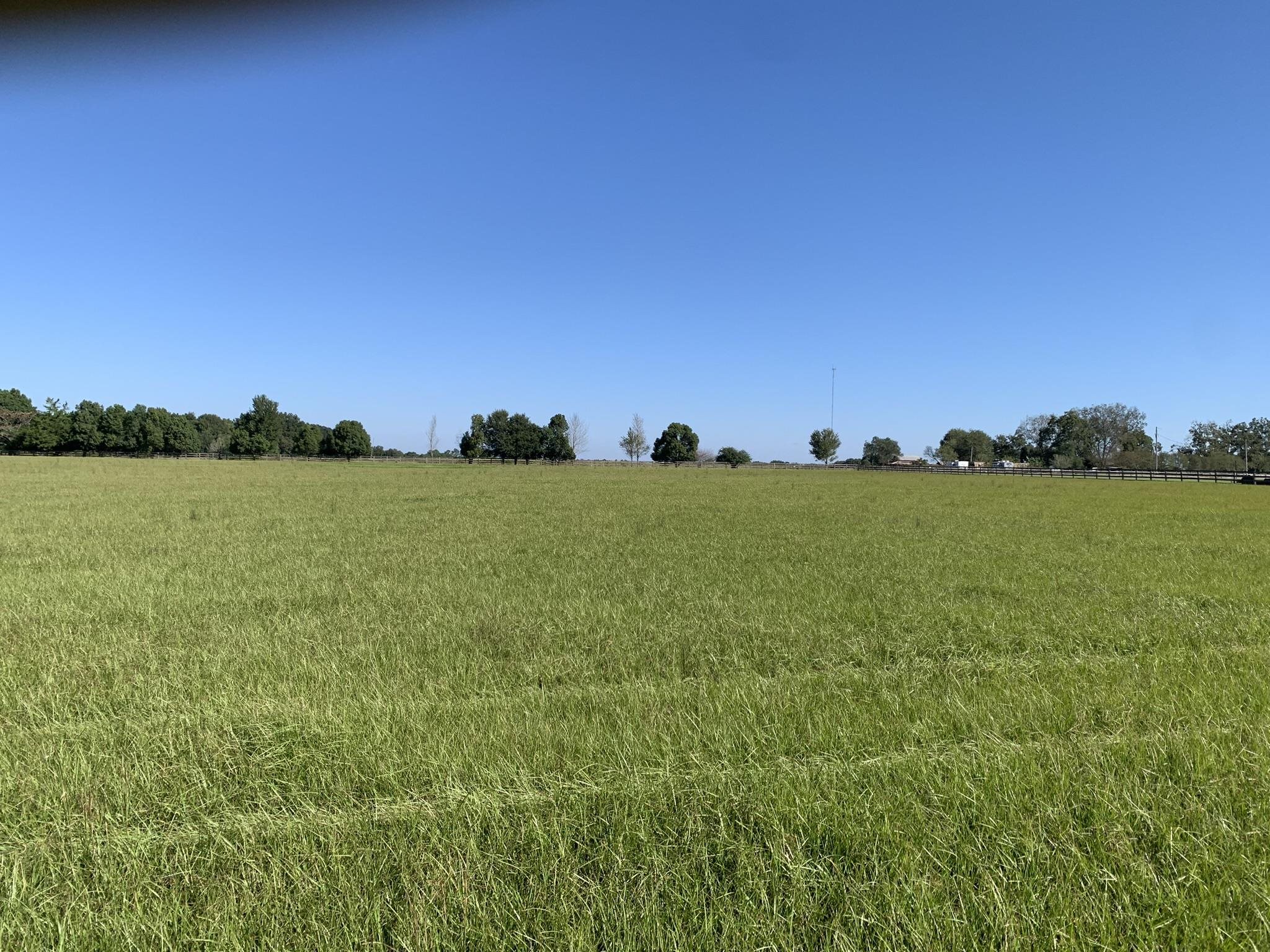 23625 Flowers Road Robertsdale, AL 36567 - Photo 2 of 3 View