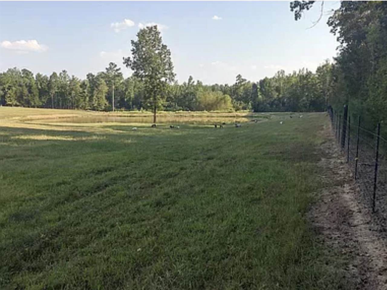 4899 Ramer Selmer Road Selmer, TN 38375 - Photo 4 of 8