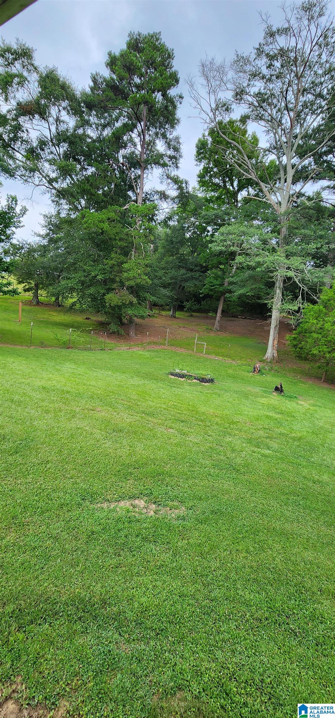 368 Dodd Road Altoona, AL 35952 - Photo 54 of 54
