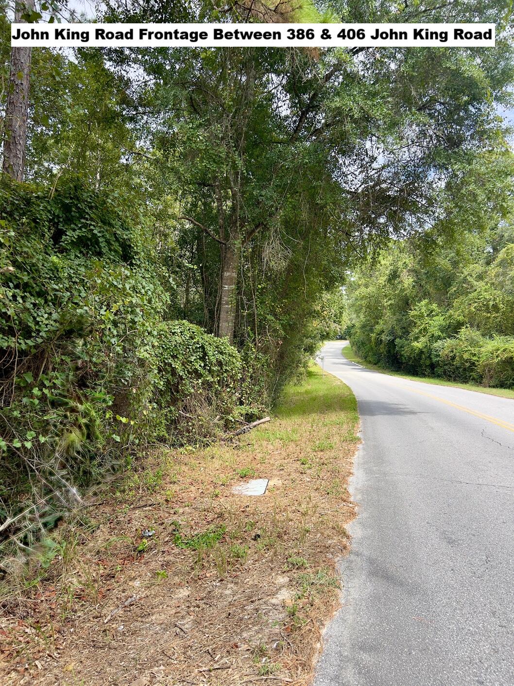 22-acres John King Road Crestview, FL 32539 - Photo 2 of 5 a view of a yard with a tree