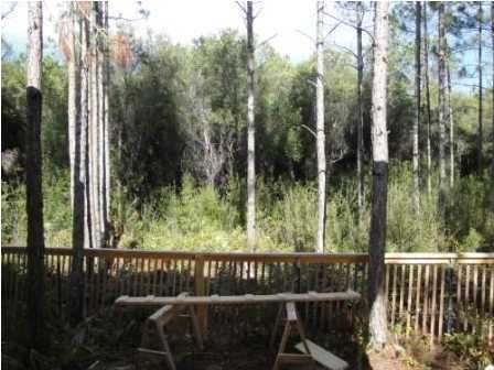 80 Thicket Circle Santa Rosa Beach, FL 32459 - Photo 5 of 6 Gallery Image 5