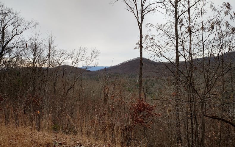 Lot 9 Mutt Ridge Murphy, NC 28906 - Photo 2 of 4 Additional View