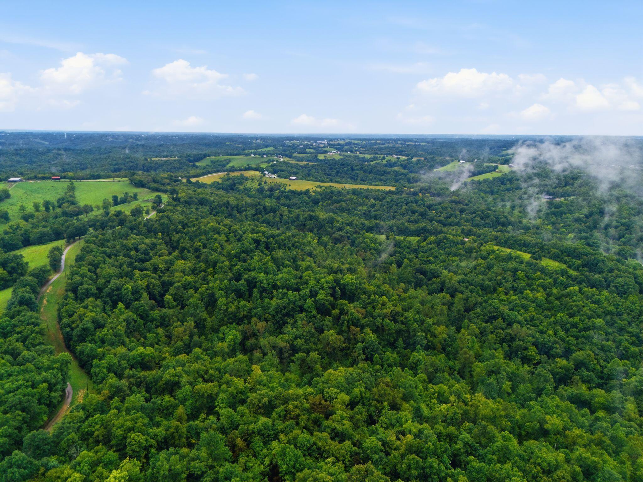 165 Rye Road Mount Olivet, KY 41064 - Photo 11 of 11 2_dji_20260812140708_0107_d