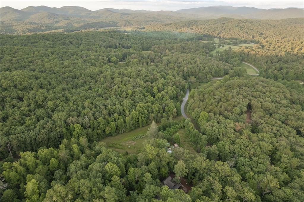 140 Black Oaks Road Cherry Log, GA 30522 - Photo 54 of 85 a view of a lush green forest with green field and mountains