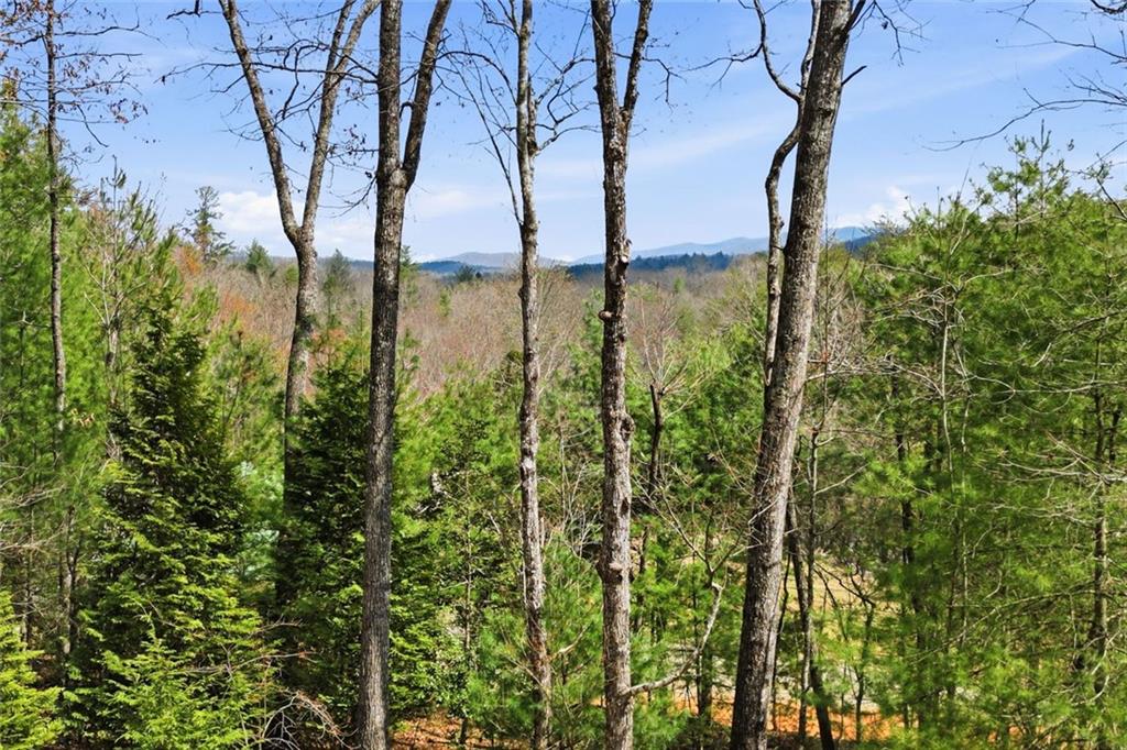 140 Black Oaks Road Cherry Log, GA 30522 - Photo 55 of 59