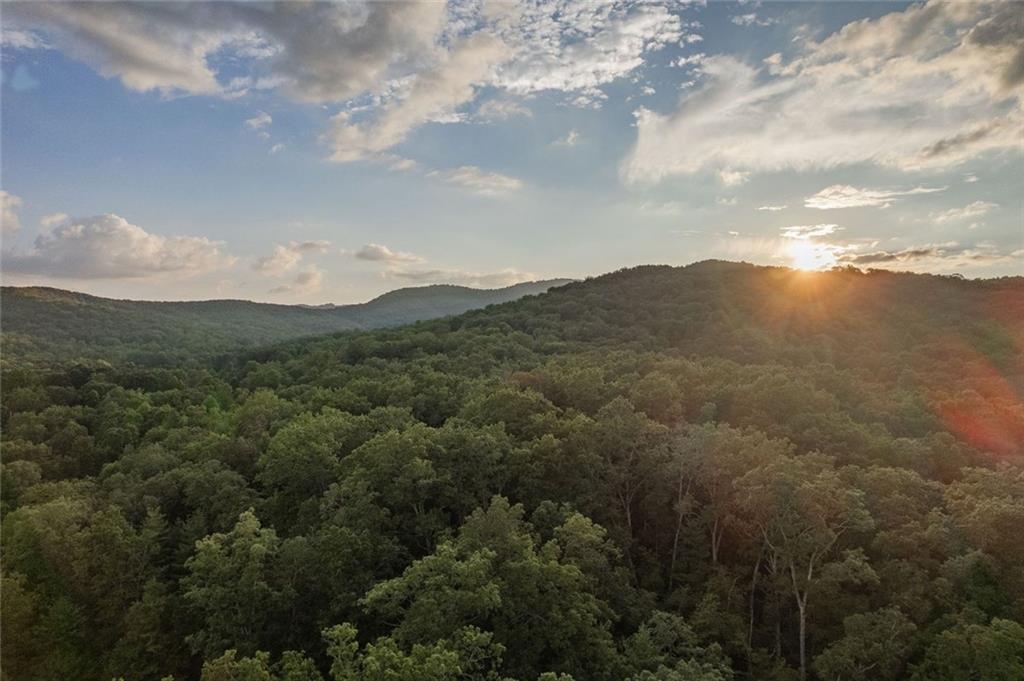 140 Black Oaks Road Cherry Log, GA 30522 - Photo 78 of 85