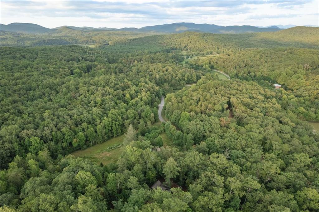 140 Black Oaks Road Cherry Log, GA 30522 - Photo 84 of 85 a view of a mountain range with lush green forest