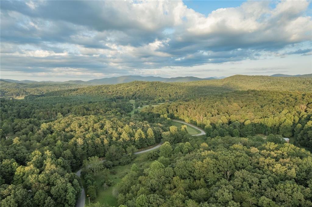 140 Black Oaks Road Cherry Log, GA 30522 - Photo 85 of 85 a view of a city with lush green forest