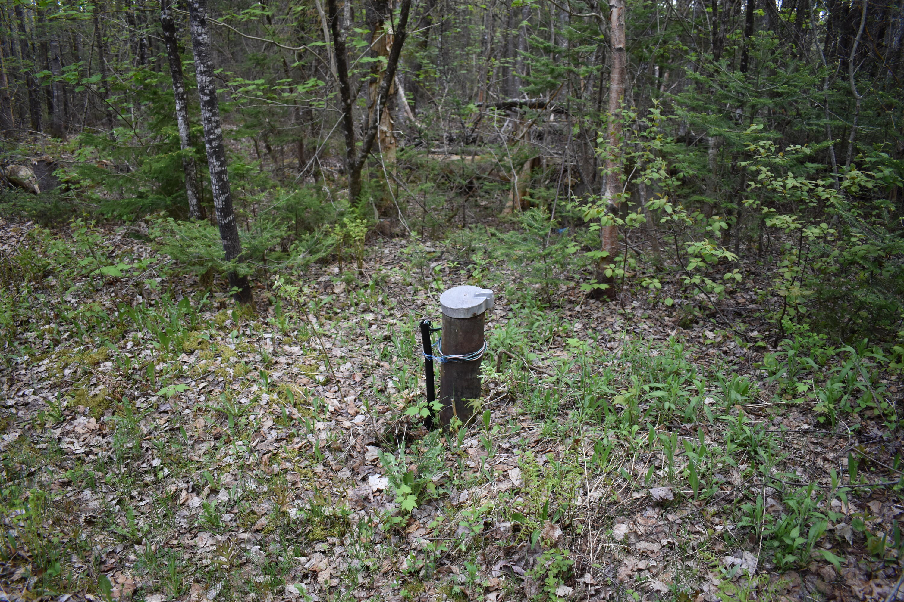 882 Bancroft Road Weston, ME 04424 - Photo 28 of 31 DSC_0100