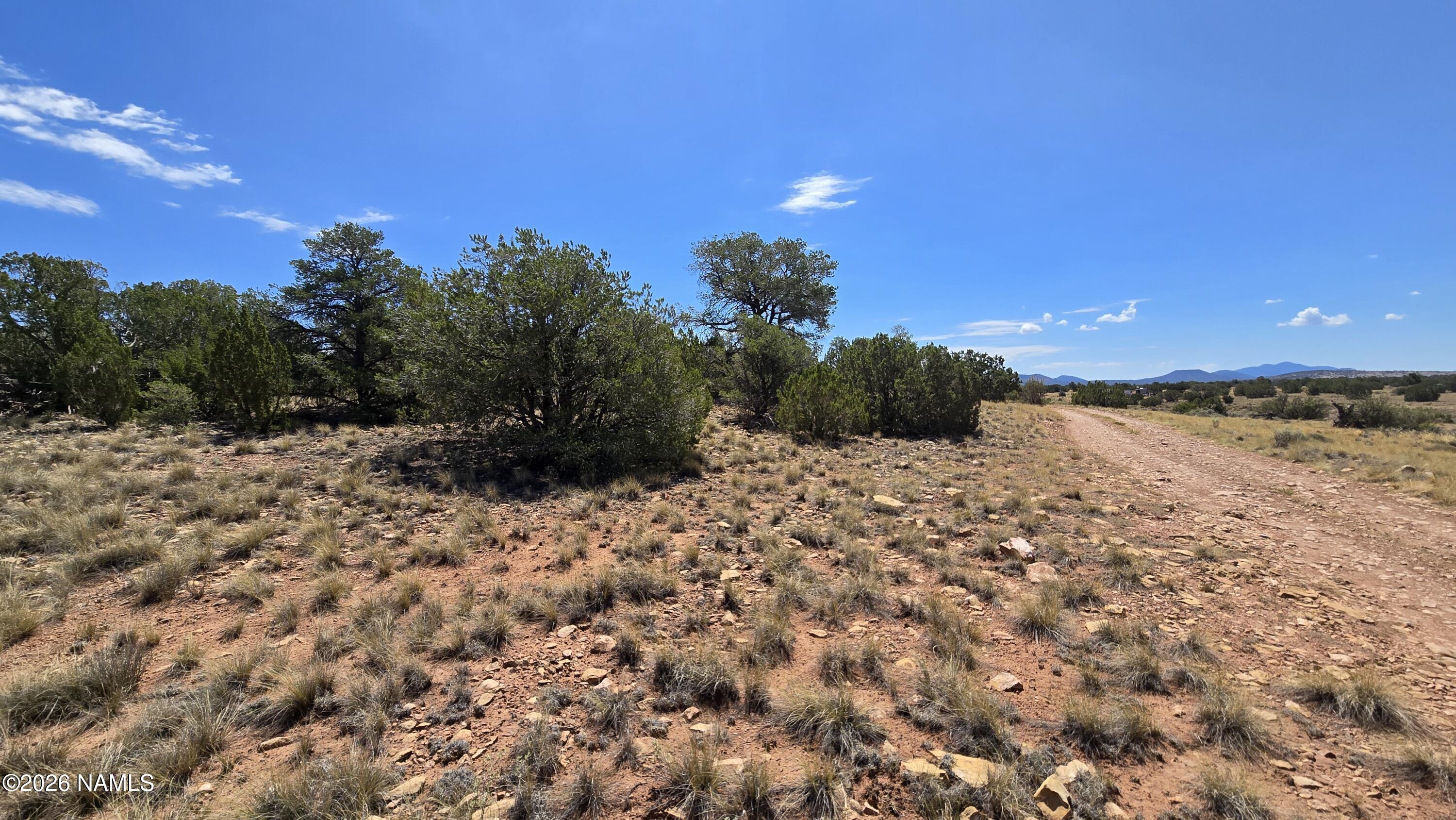 3711 Wingfield Road Williams, AZ 86046 - Photo 5 of 21 20260802_110252