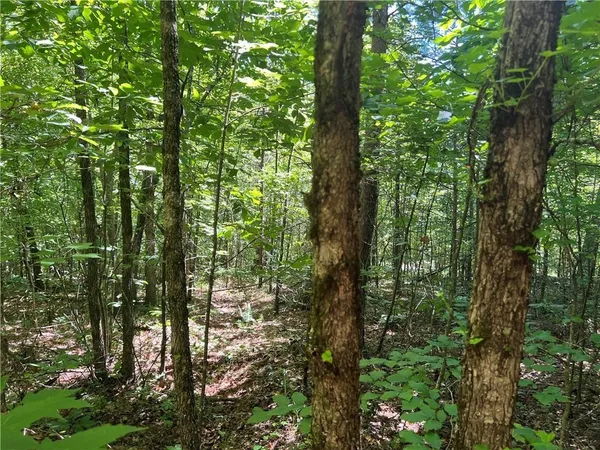 $85,000 | 0 Fortner Road, Ball Ground, GA 30107