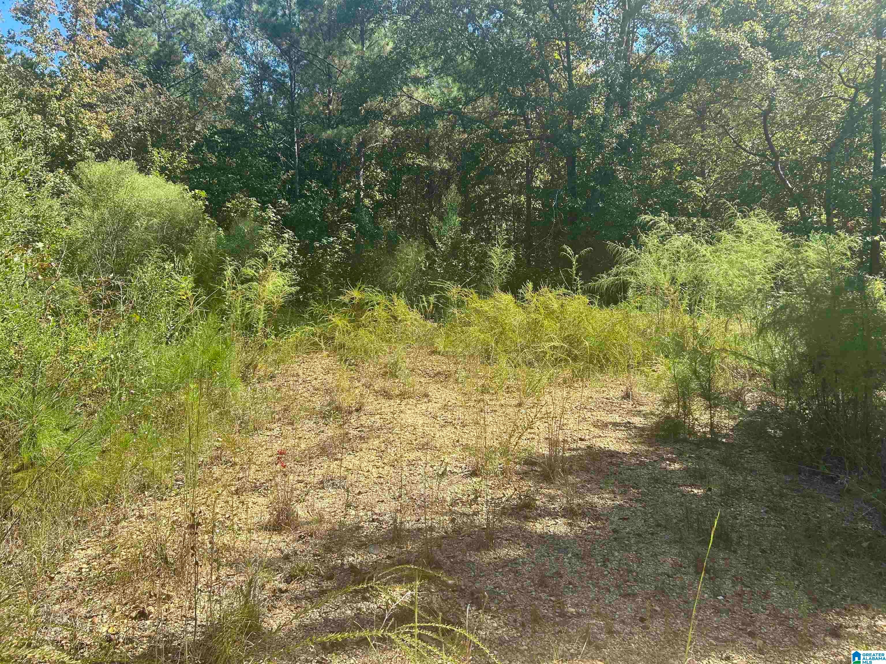 Lot 4 Mill Creek Road, Unit 4 Townley, AL 35587 - Photo 1 of 9 Gallery Image 1