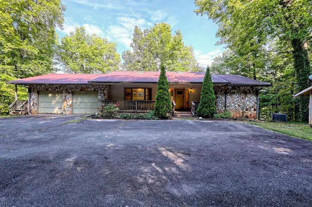 a view of a tree in a yard