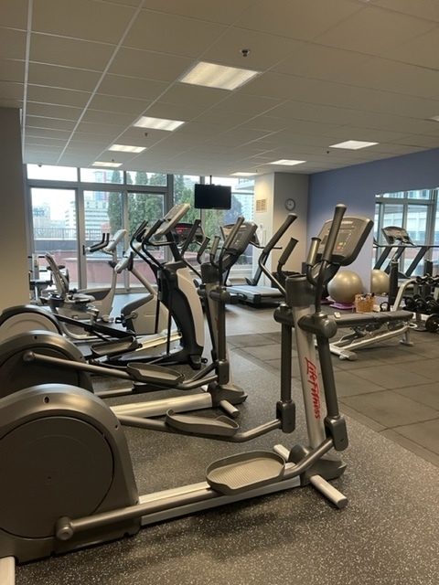 1600 South Prairie Avenue, Unit 904 Chicago, IL 60616 - Photo 14 of 19 a view of a room with gym equipment